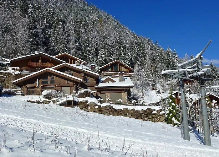 Mitoyen Aux Pieds Des Pistes Pour 6 Pers., Animaux Admis, A - Fr-1-343-225 *