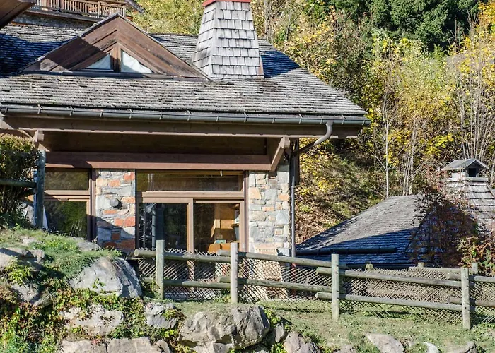 Chalet Mitoyen Aux Pieds Des Pistes Pour 6 Pers., Animaux Admis, A - Fr-1-343-225 Chamonix