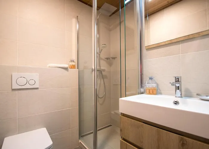 Mitoyen Aux Pieds Des Pistes Pour 6 Pers., Animaux Admis, A - Fr-1-343-225 Chamonix