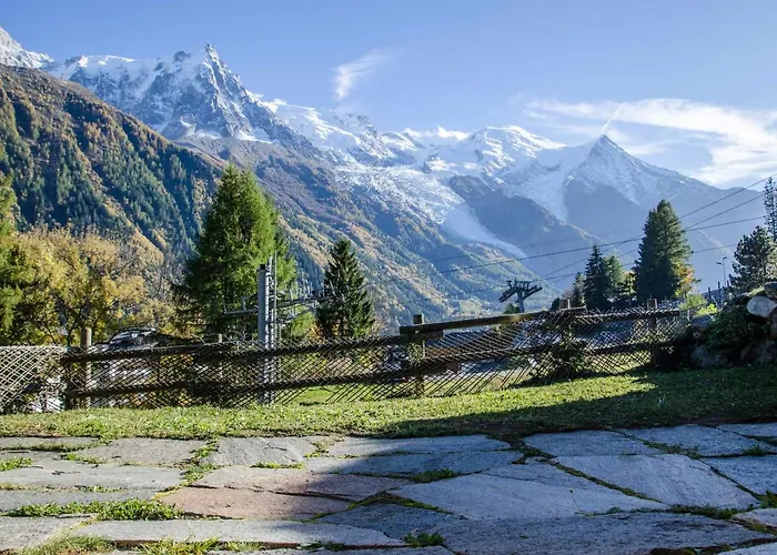 Mitoyen Aux Pieds Des Pistes Pour 6 Pers., Animaux Admis, A - Fr-1-343-225 Chalet *