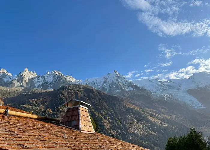 Chalet Mitoyen Aux Pieds Des Pistes Pour 6 Pers., Animaux Admis, A - Fr-1-343-225 *