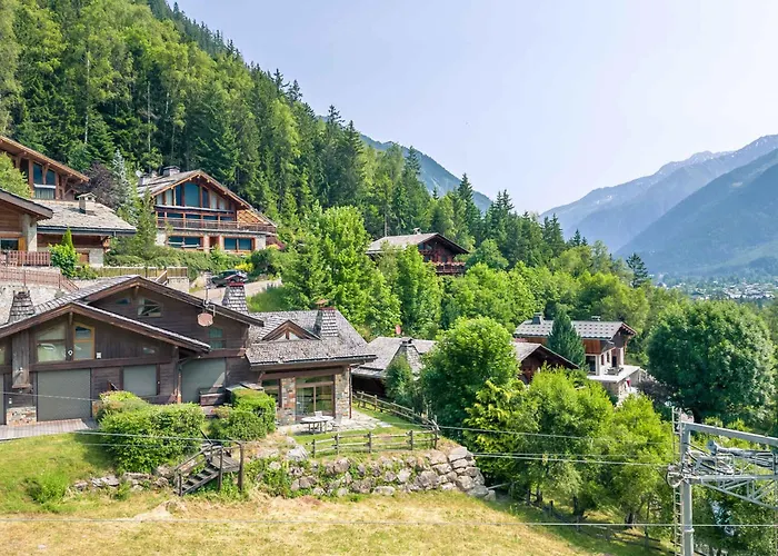 Mitoyen Aux Pieds Des Pistes Pour 6 Pers., Animaux Admis, A - Fr-1-343-225 Chalet *